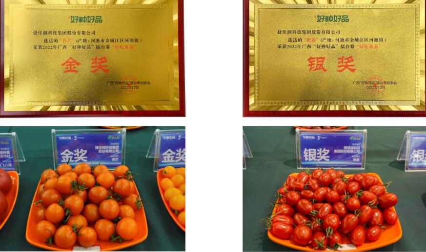 捷佳润乡村振兴典型案例——数字化种出金奖小番茄